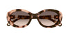 Chloe CH0323SK#colour_havana/brown gradient