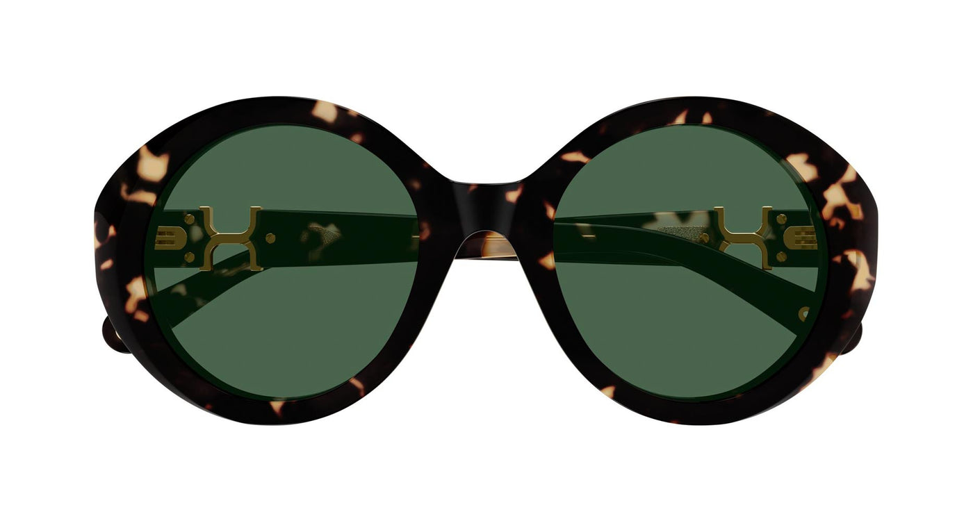#colour_havana-green
