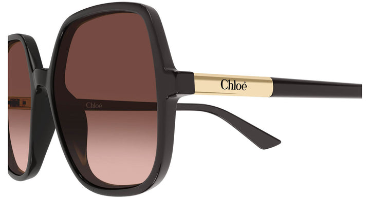 Chloe CH0362S Square Sunglasses | Fashion Eyewear US