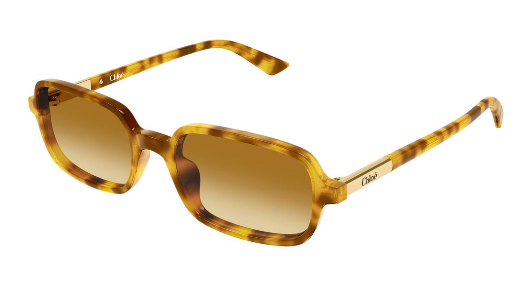 Chloe CH0363S Rectangle Sunglasses | Fashion Eyewear US