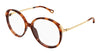 Chloe CH0408O#colour_havana-gold