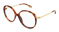 Chloe CH0408O#colour_havana-gold