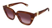 Chloe CH0410S#colour_havana/violet gradient