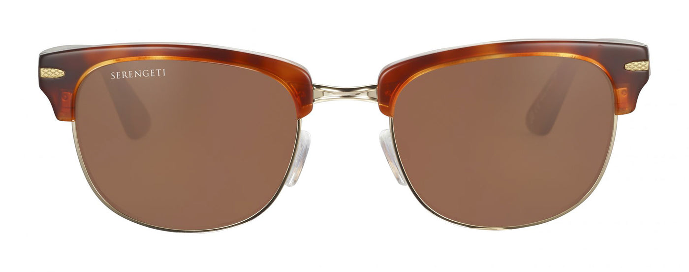 #colour_shiny-classic-havana-shiny-light-gold-mineral-drivers-polarised