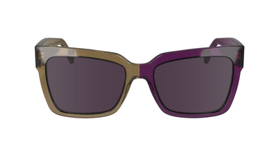 #colour_brown-to-violet-violet