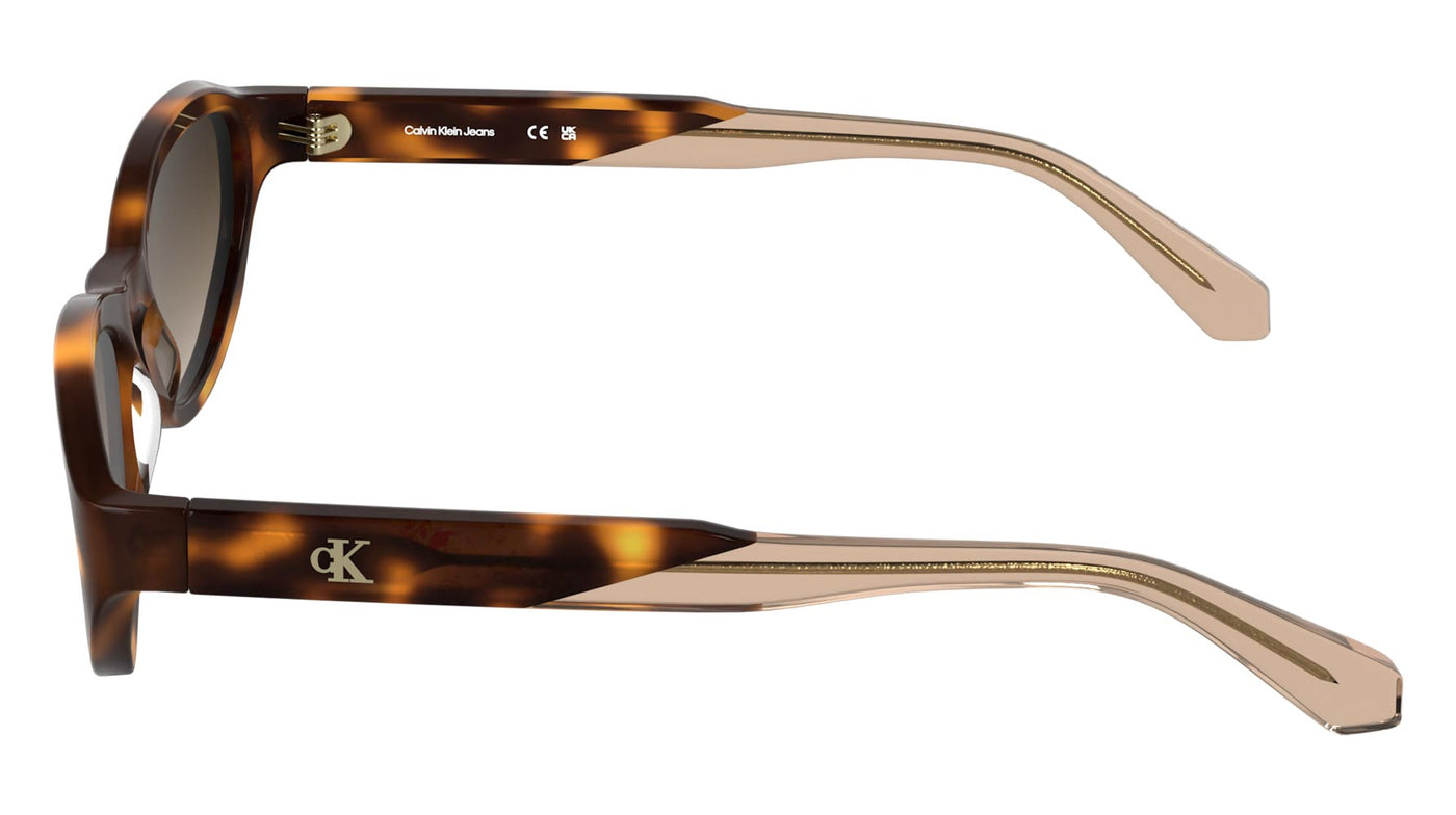 #colour_havana-brown