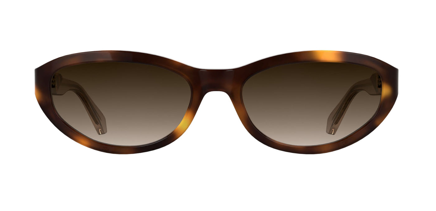 #colour_havana-brown