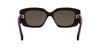 #colour_shiny-bordeaux-brown