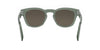 #colour_shiny-dark-green-brown