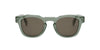 #colour_shiny-dark-green-brown