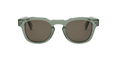 #colour_shiny-dark-green-brown