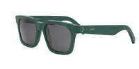 #colour_shiny-dark-green-smoke