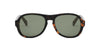 #colour_dark-havana-green