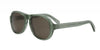 #colour_shiny-light-green-brown