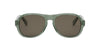 #colour_shiny-light-green-brown