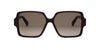 #colour_shiny-bordeaux-brown-gradient