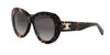 #colour_shiny-havana-brown-gradient