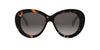 #colour_shiny-havana-brown-gradient