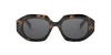 #colour_shiny-havana-grey
