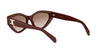 CELINE Triomphe CL40323U#colour_brown-gold-brown-gradient