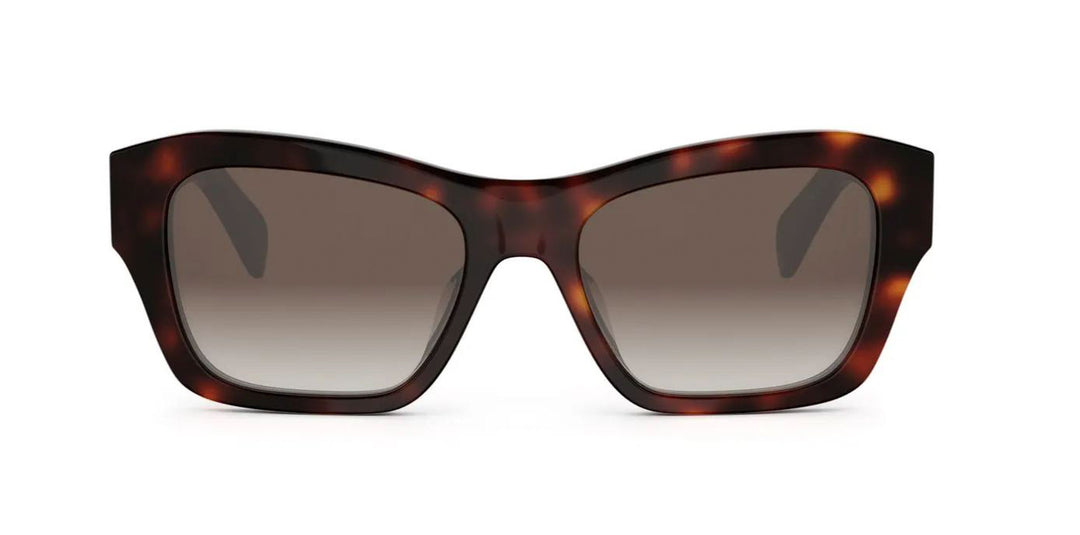 CELINE Triomphe CL40330U Butterfly Sunglasses | Fashion  display picture 2