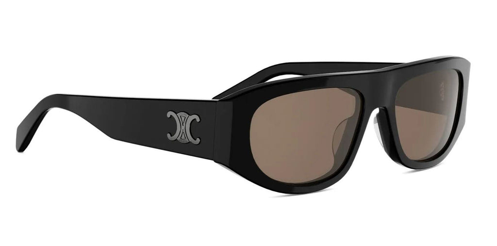 オールドCELINE CELINE Triomphe CL40334U Oval Sunglasses | Fashion Eyewear