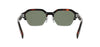 CelineCombiCL40344U#colour_havana-green