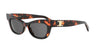 CELINE Triomphe CL40352U#colour_havana-grey