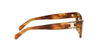 CELINE Triomphe CL40352U#colour_light-tortoiseshell-brown