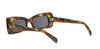 CELINE 3 Dots HD CL40360I#colour_havana-grey