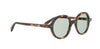 CELINE Circle CL40365I#colour_havana-green