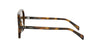 CELINE Thin CL40366I#colour_havana-brown