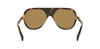 CELINE Thin CL40366I#colour_havana-brown