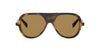 CELINE Thin CL40366I#colour_havana-brown