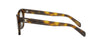 CelineTriompheMiniCL50184I#colour_havana