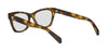 CelineTriompheMiniCL50184I#colour_havana