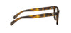 CelineTriompheMiniCL50184I#colour_havana