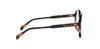 CELINE Thin CL50187I#colour_shiny-havana