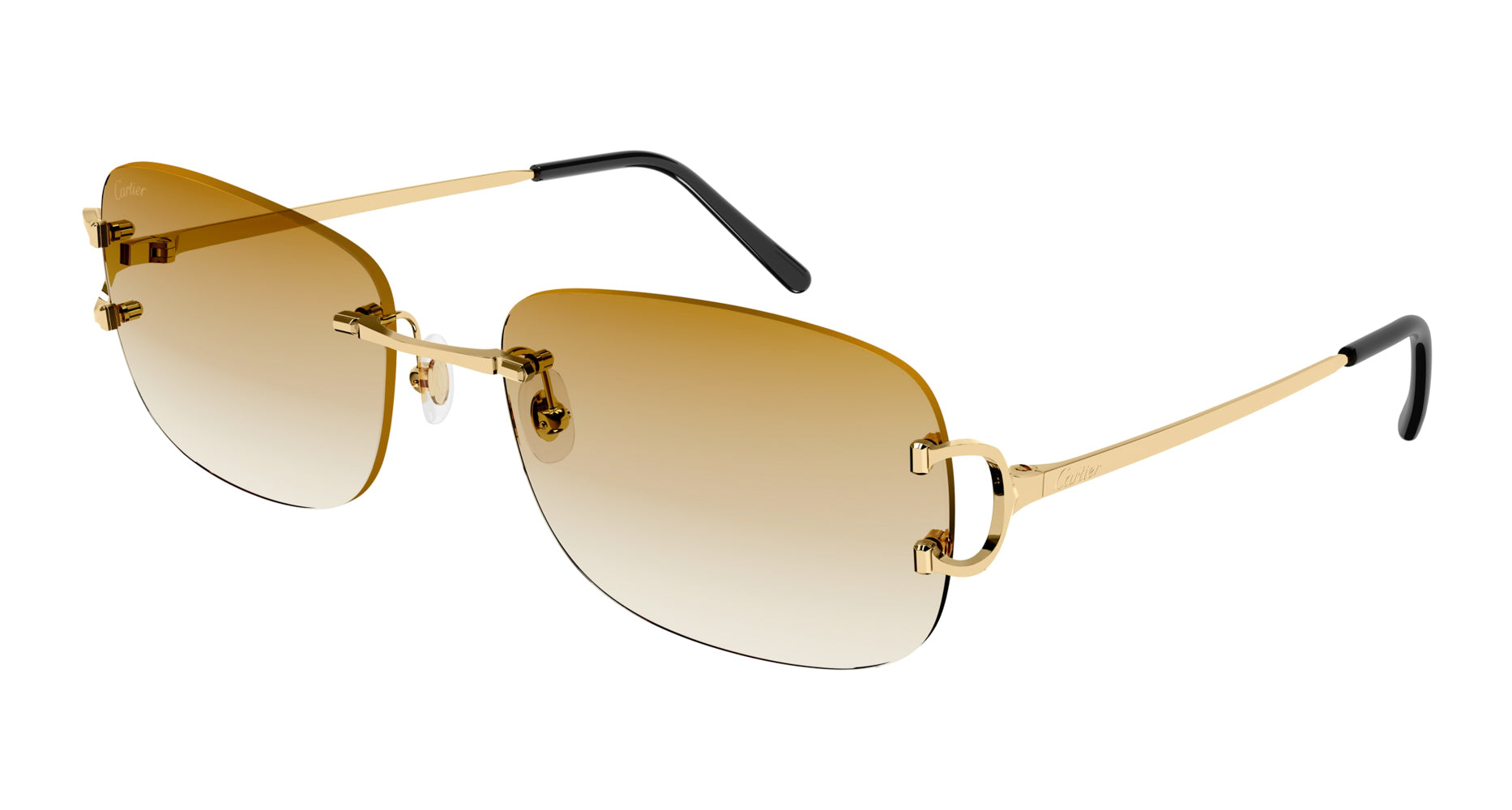 Cartier CT0011RS Rectangle Sunglasses | Fashion Eyewear US