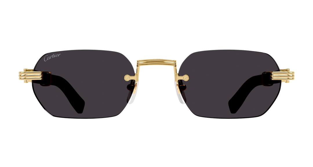 Cartier CT0362S Rectangle Sunglasses | Fashion Eyewear US