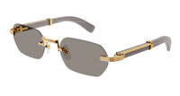 Cartier CT0362S #colour_gold-grey