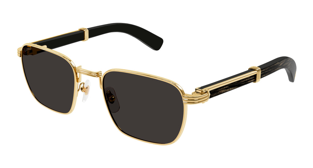 Cartier CT0363S