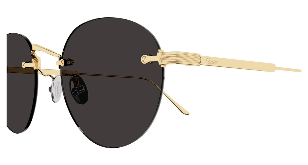 Cartier CT0393S Round Sunglasses | Fashion Eyewear display picture 2