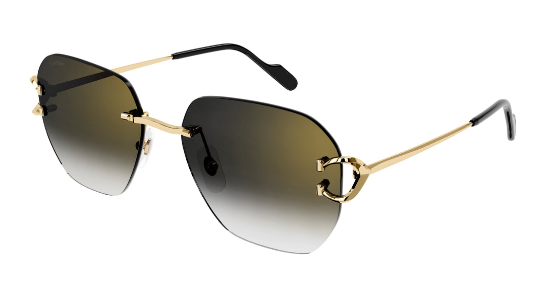 アクセサリー Cartier Cartier CT0394S Square Sunglasses | Fashion Eyewear US