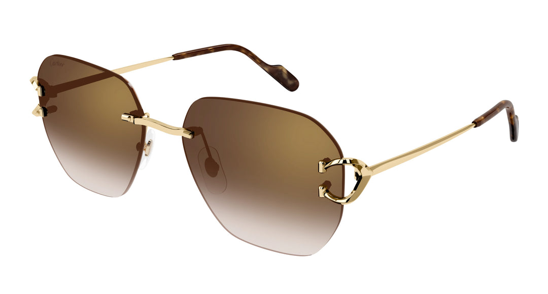 Cartier CT0394S Square Sunglasses | Fashion Eyewear US