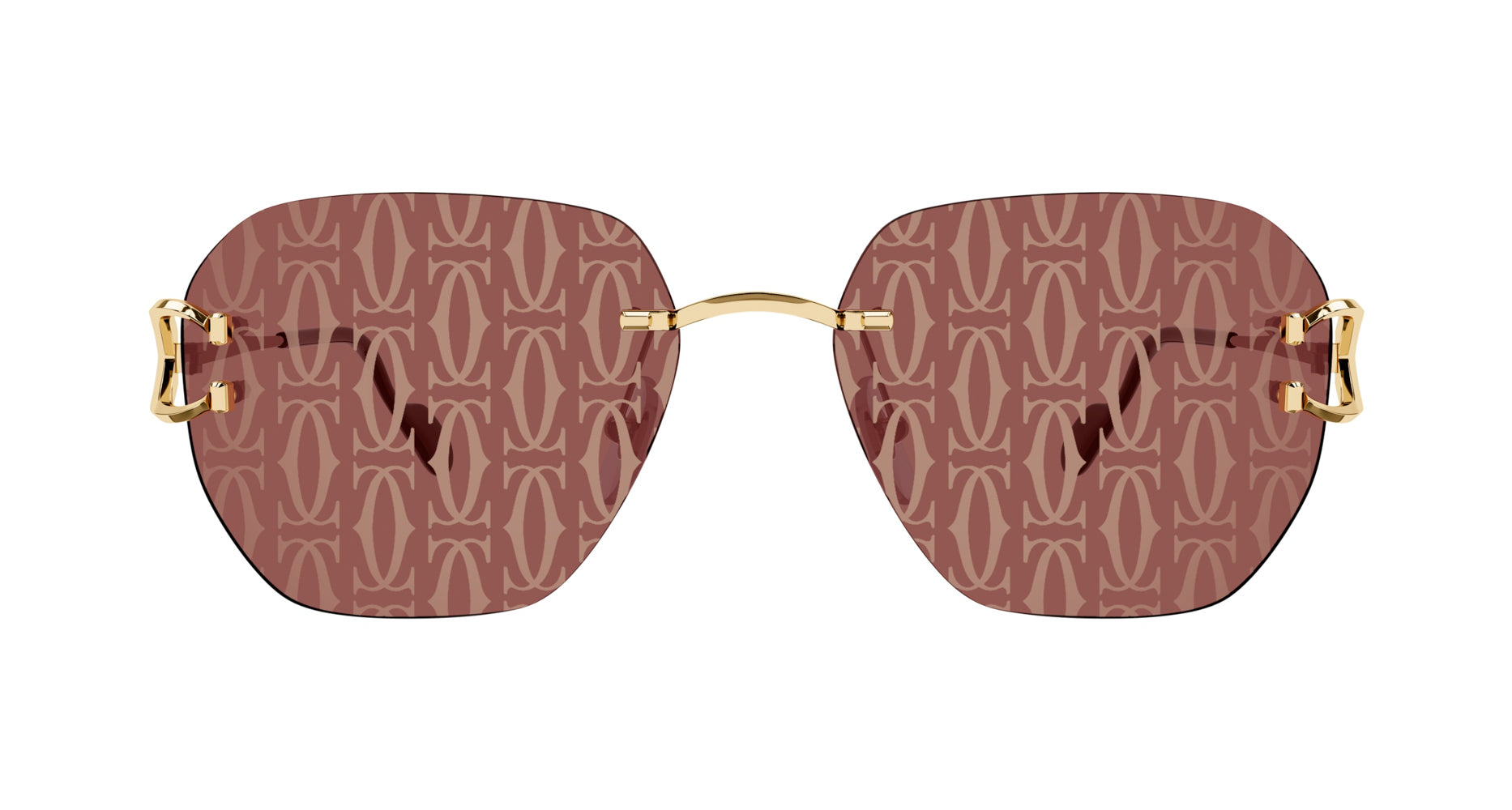 Cartier CT0394S Square Sunglasses | Fashion Eyewear US