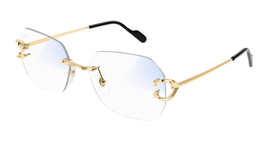Cartier CT0416S
