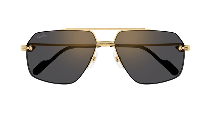 Cartier CT0426S Aviator Sunglasses | Fashion Eyewear US