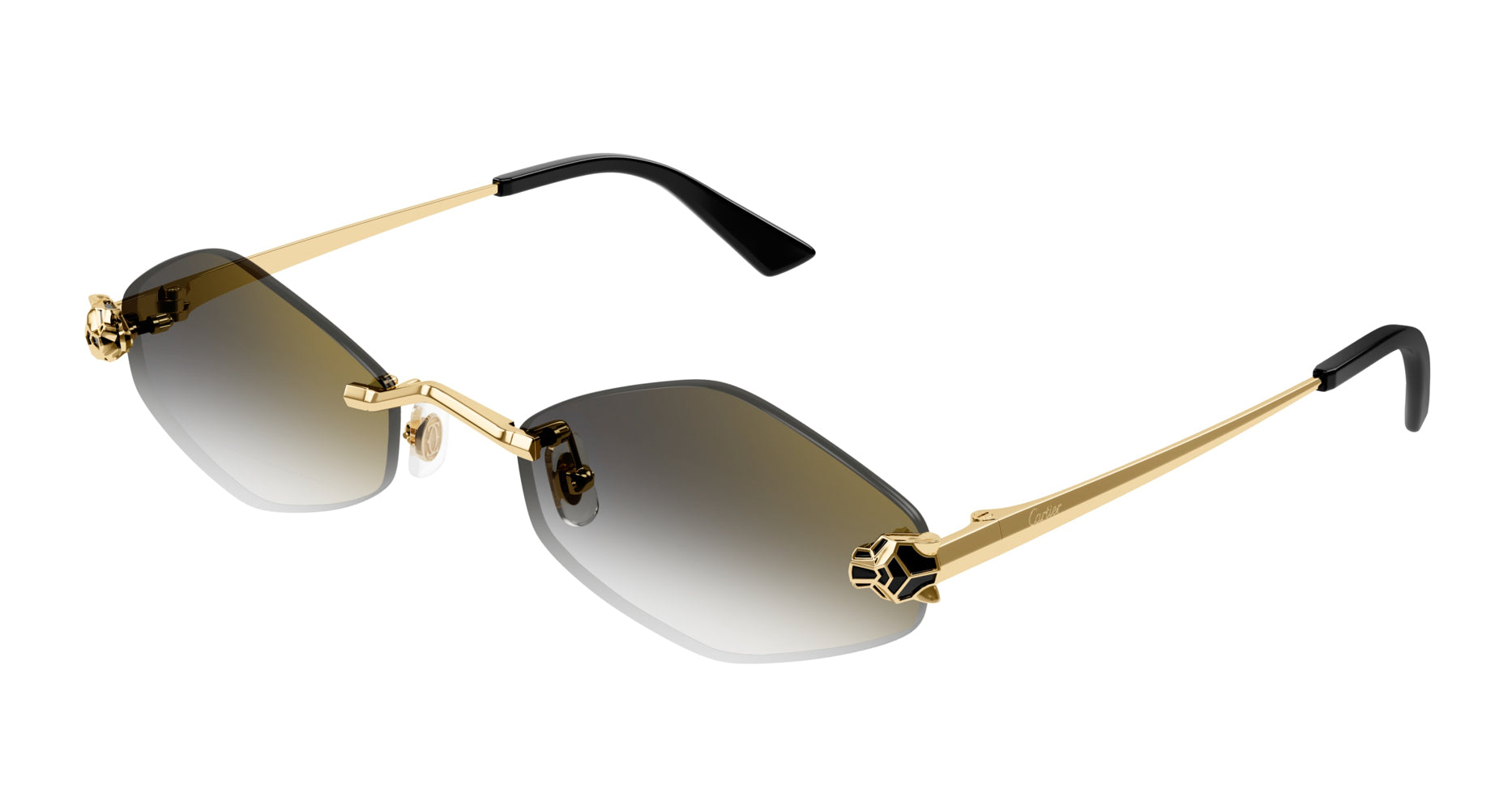 Cartier CT0433S Rectangle Sunglasses | Fashion Eyewear US