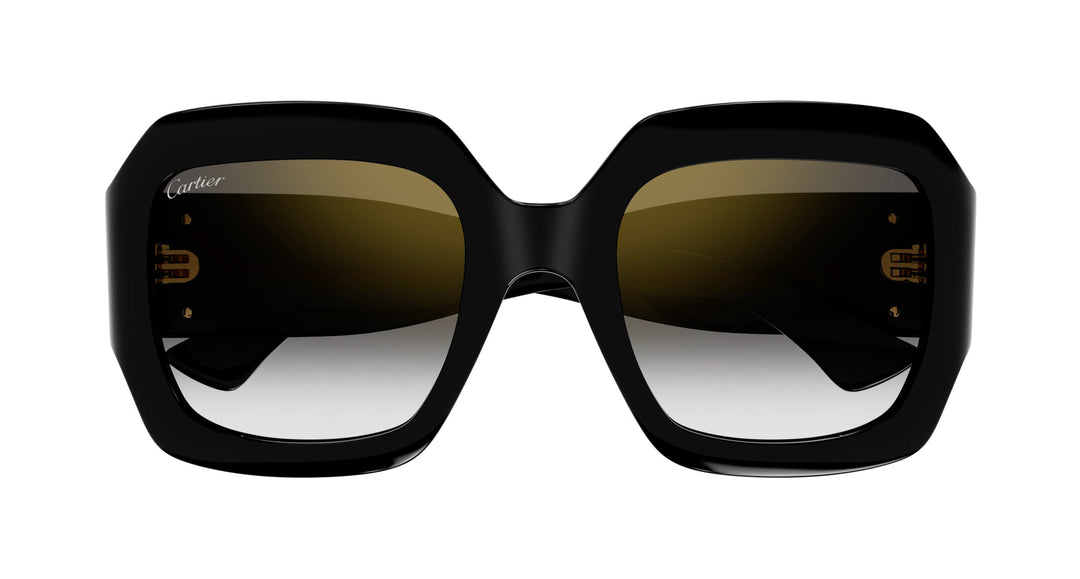 Cartier CT0434S Rectangle Sunglasses | Fashion Eyewear US